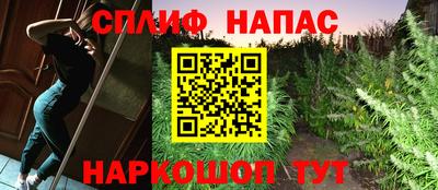 СК Краснодар