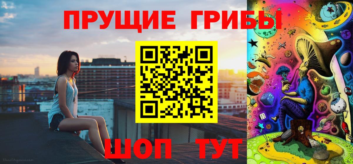 где продают наркотики  Вход с VPN  Королёв  Псилоцибиновые грибы ЛСД 