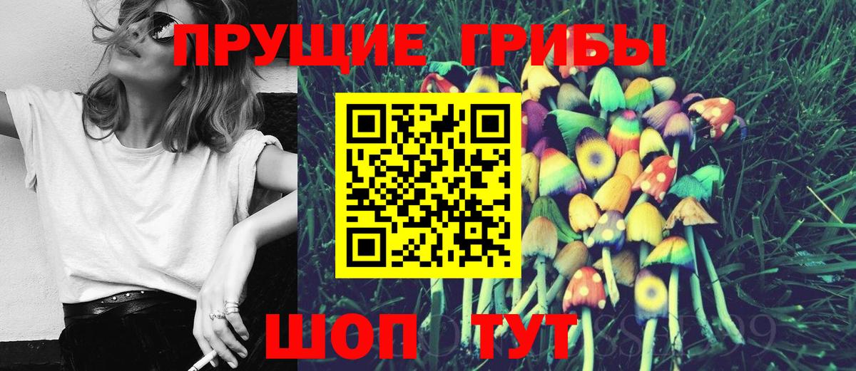 Галлюциногенные грибы GOLDEN TEACHER Королёв